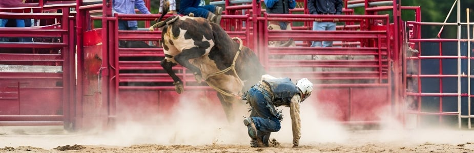 PBR - Team Series Tickets