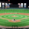 Jupiter Hammerheads