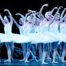 Swan Lake