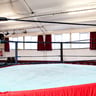 Extreme Dwarfanators Wrestling