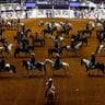 Fort Worth Stock Show and Rodeo