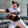 South Carolina Gamecocks Softball